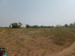 22 Acres Farmland For Sale At Off Ido - Eruwa Road, Ido Lga, Ibadan
