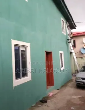 Professional Painter
