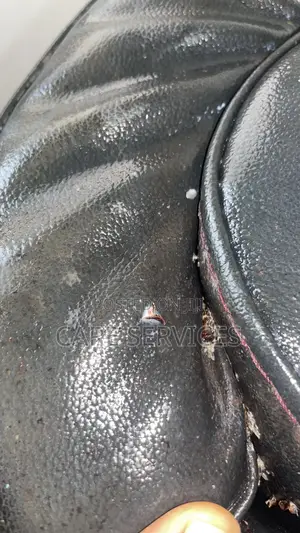 Fumigation for Bedbug Treatment