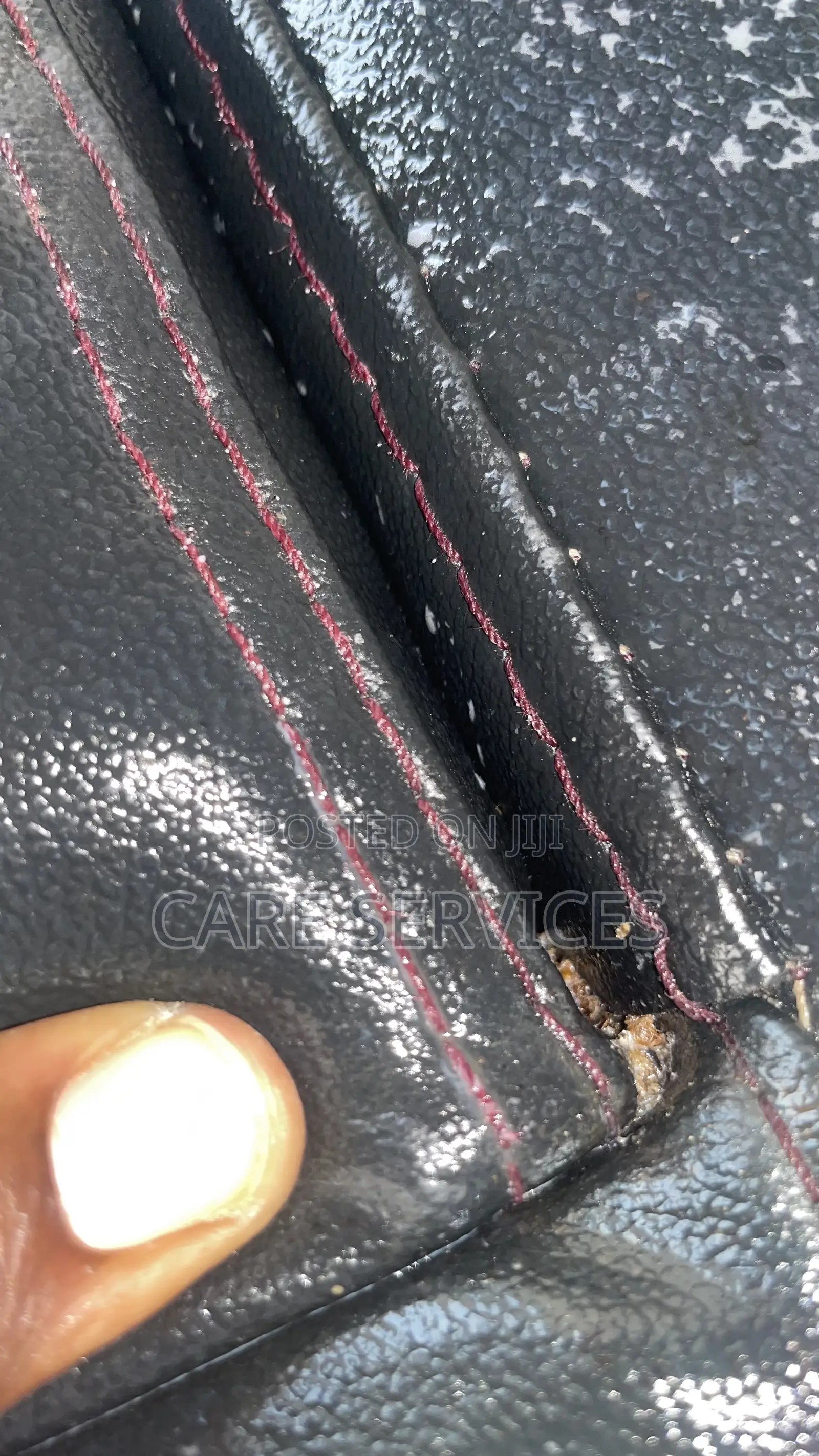 Certified Bedbug Solution