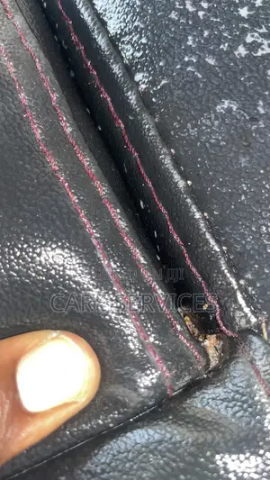 Certified Bedbug Solution