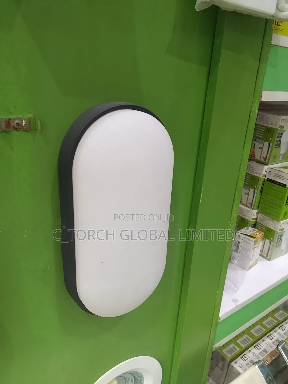 C_ Torch 10w Wall Bracket Light