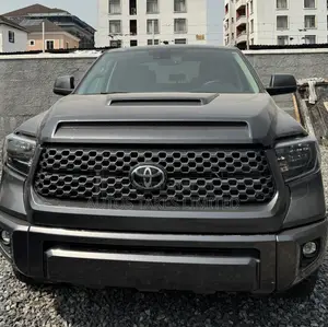 Toyota Tundra 2021 Gray