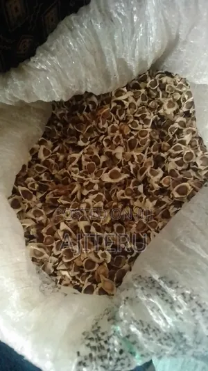Moringa Seed (1kg)