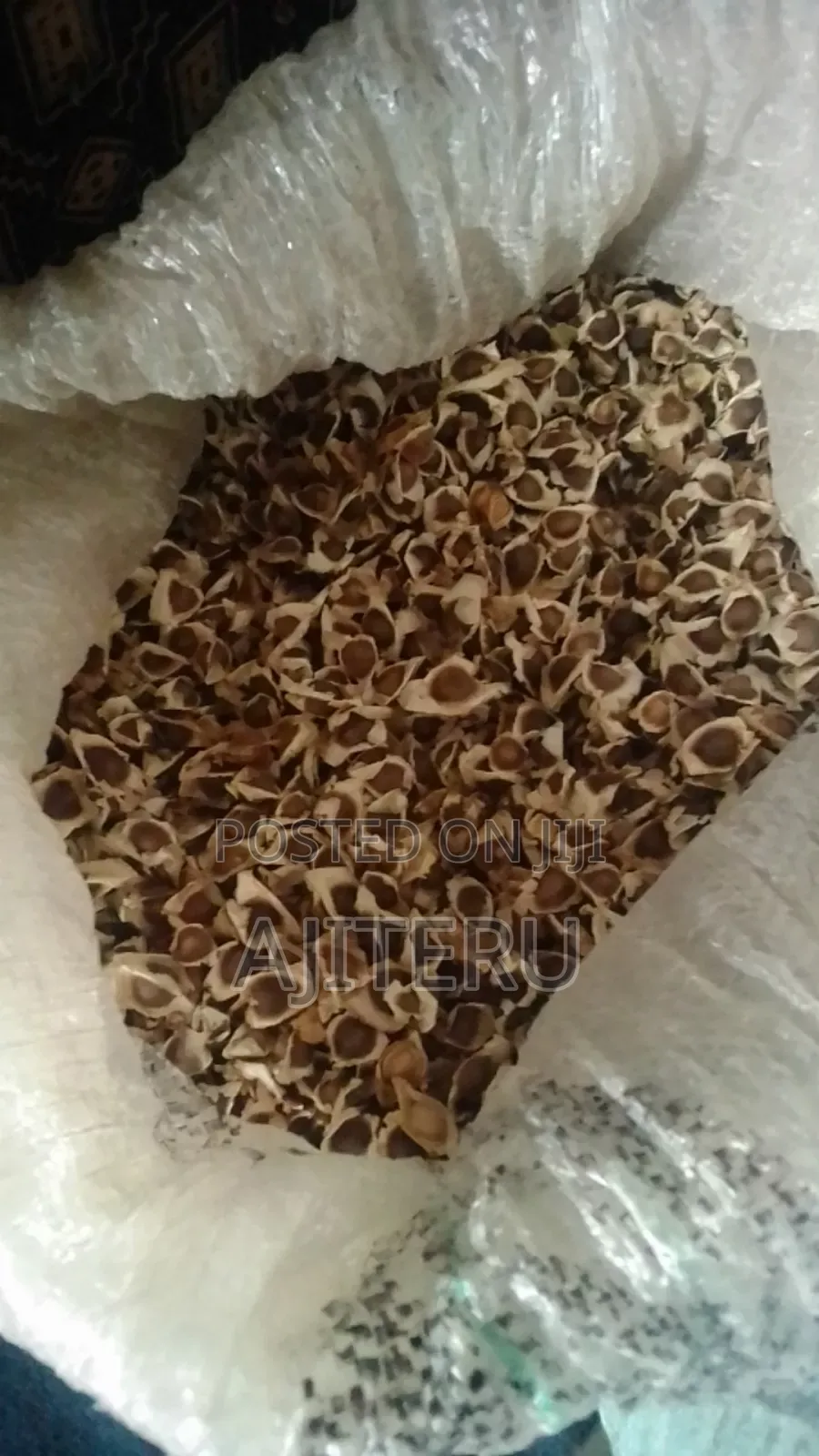 Moringa Seed (1kg)