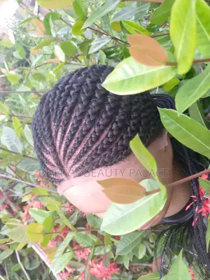 Shuku Braided Wig