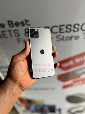 Apple iPhone 11 Pro Max 64 GB Gray