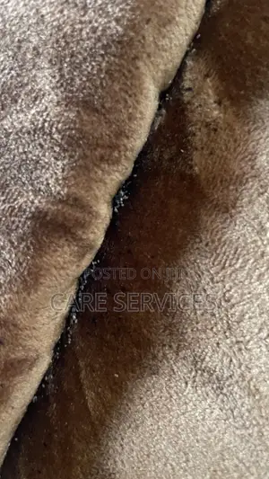 Bedbug Control You Can Trust