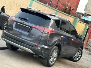 Toyota RAV4 Limited AWD (2.5L 4cyl 6A) 2016 Gray