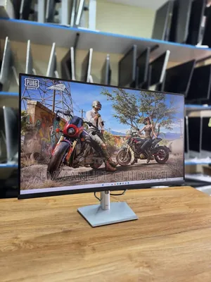 24 Inches Dell Ips Display Monitor