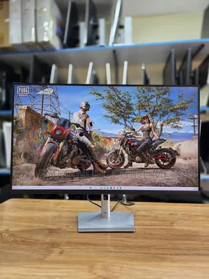 24 Inches Dell Ips Display Monitor