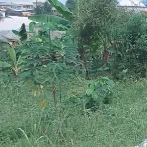 Land Selling Hot at Lekki Phase 2