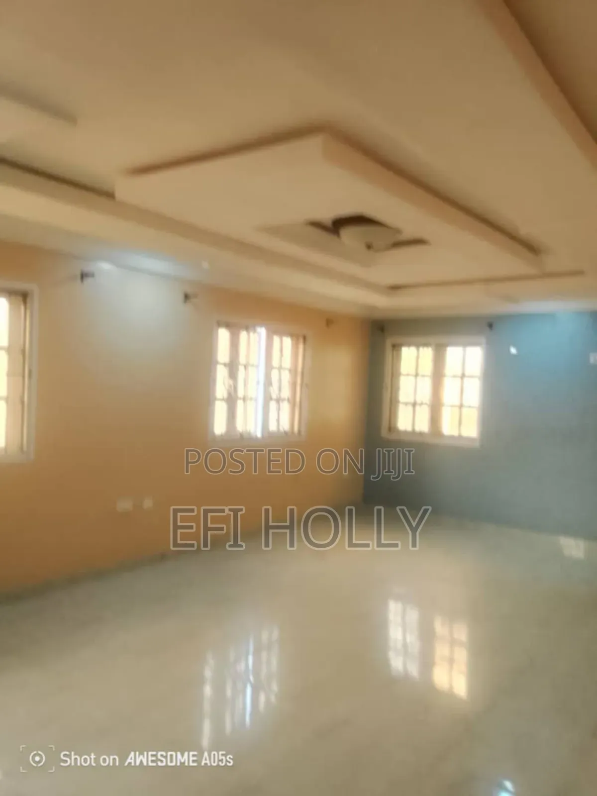 Pop Ceiling Installation and Wall Screeding