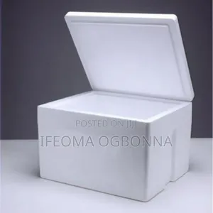 Styrofoam Cooler