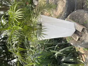 Indoor Office Plants