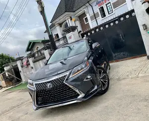Complete Front and Back Exterior Upgrade Rx350 010/013 to 2020 Model