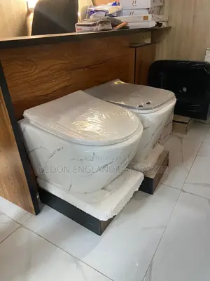 Square and Round High Quality England Conceal Wc