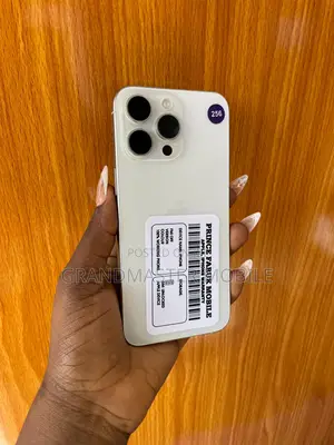 Apple iPhone 15 Pro Max 256 GB Silver