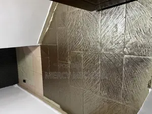 Professional Cleaning Janitorial Services