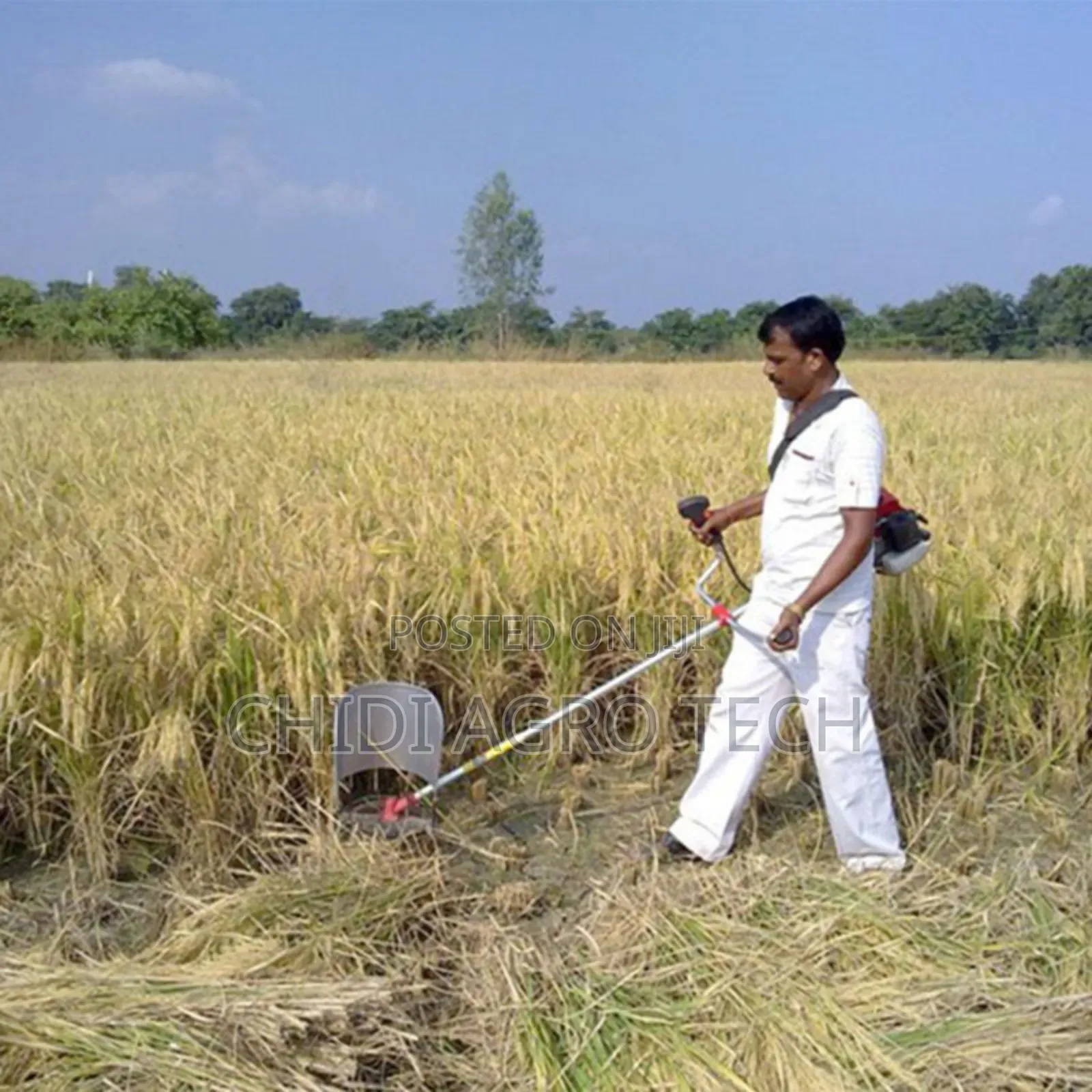 Rice Harvester Machine