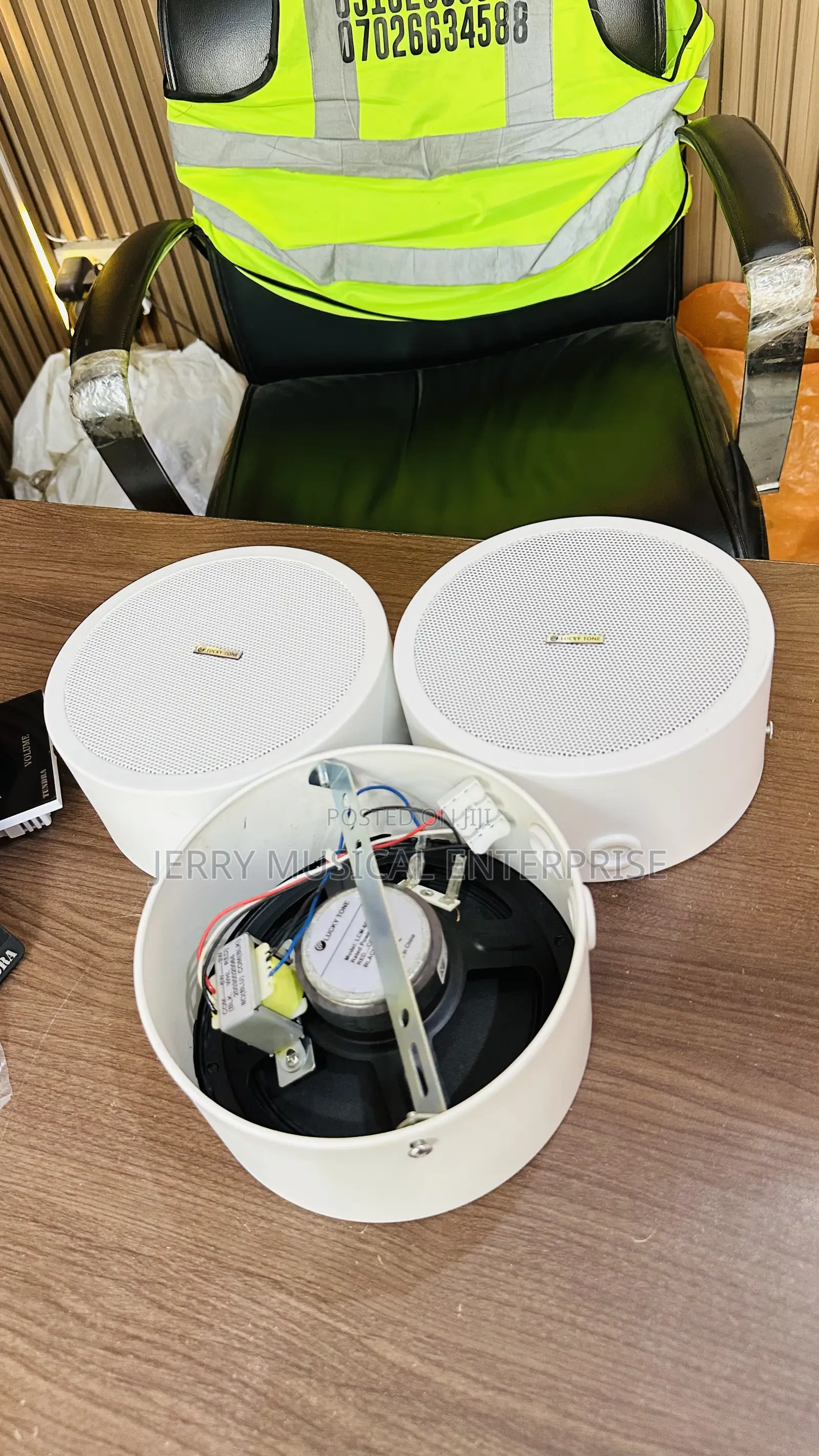 Decking Surface Speakers With Woofer
