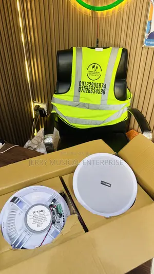 Original Tundra 2n1 Massive Bluetooth Ceiling Speakers
