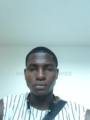 Mr Michael Adesokan