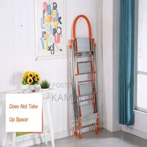 Stainless Ladder and Clothes Hanger