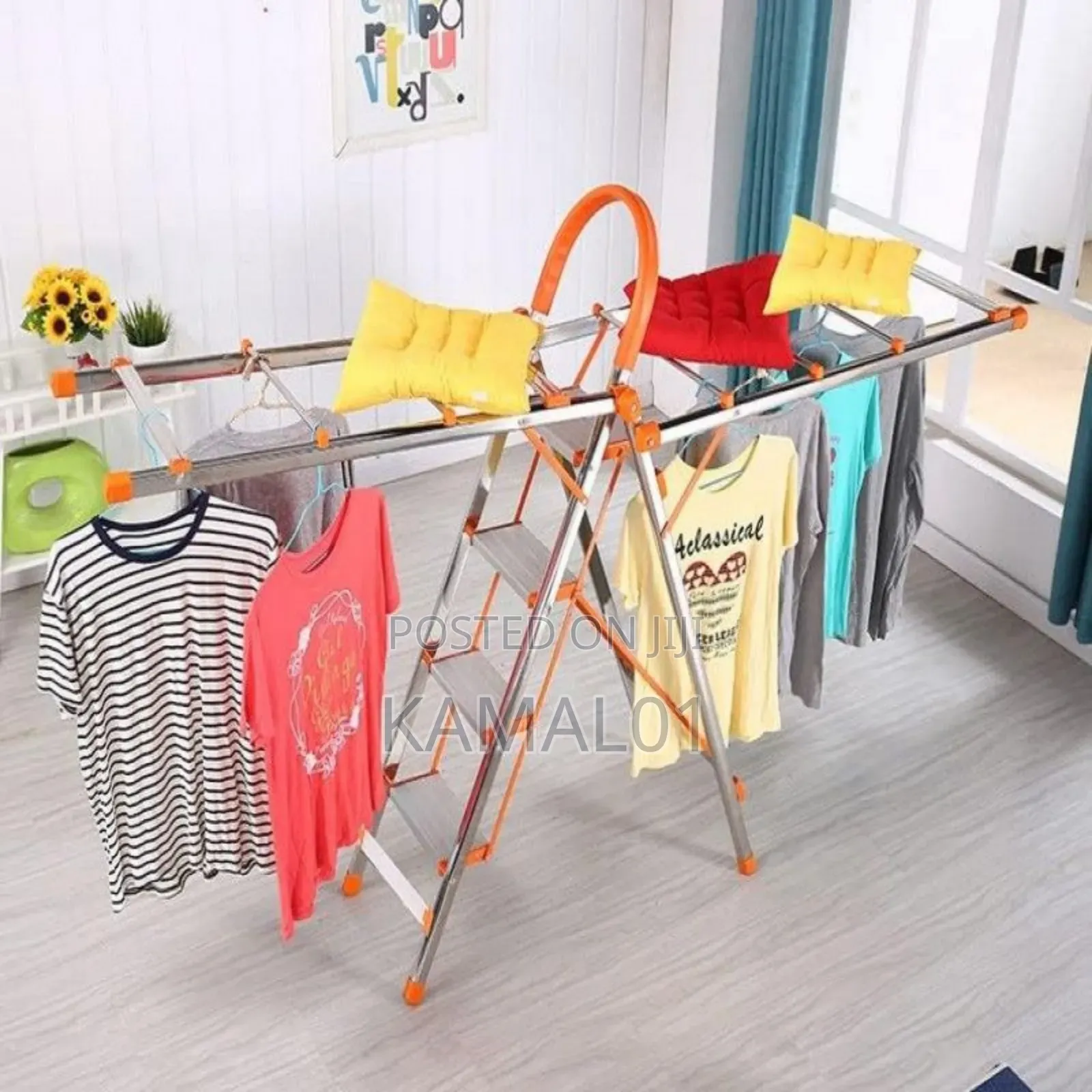 Stainless Ladder and Clothes Hanger