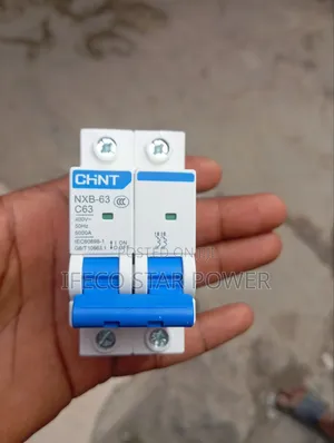 Chint Breaker 63a 2pole