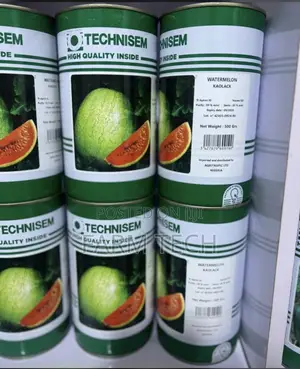 Watermelon Kaolack