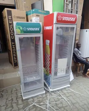 Commercial Snowsea Chiller