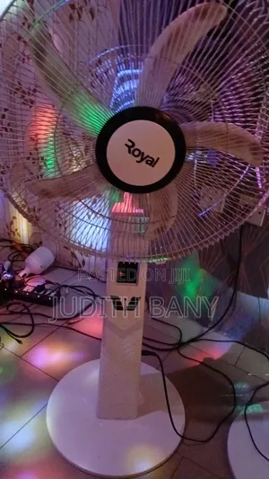 Electrical (Rechargeable Standing Fan