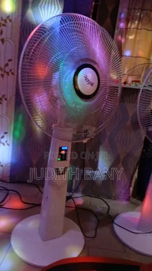 Electrical (Rechargeable Standing Fan