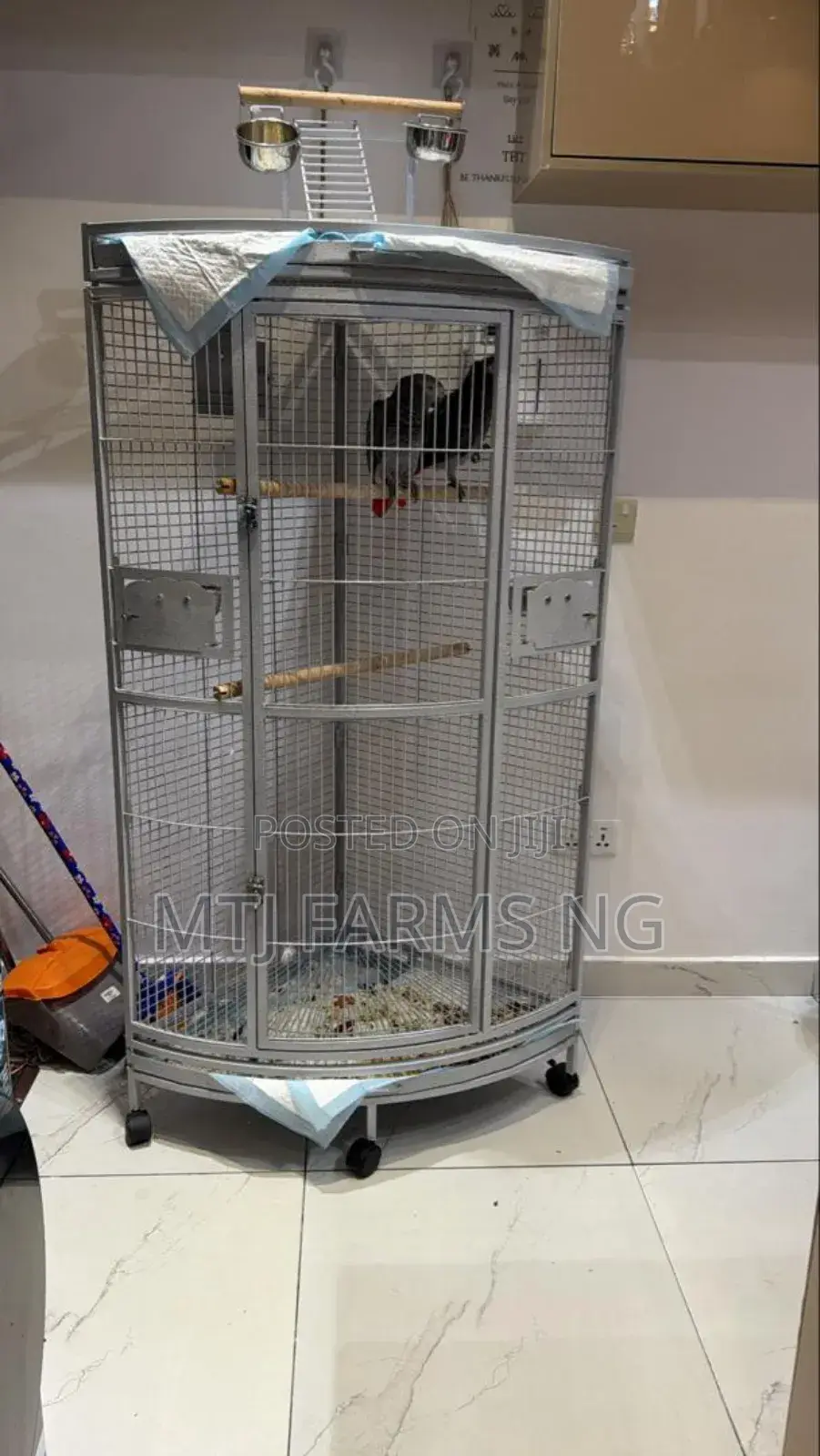 Imported Strong And Spacious Parrot Bird Cage