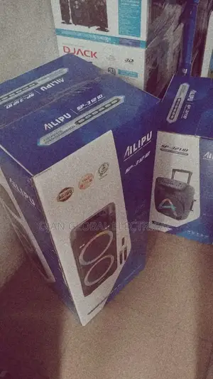 Ailipu Pa Sound System Double Microphones