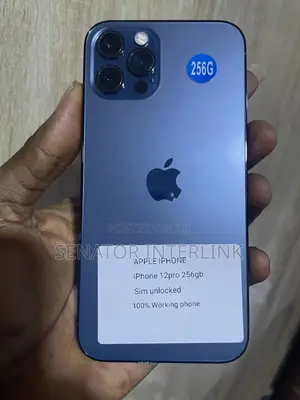 Apple iPhone 12 Pro 256 GB Blue