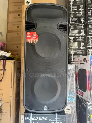 Mighty Public Address System 15" Inches X 2 Double