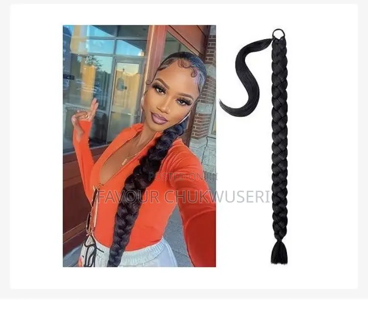 Braided Ponytails