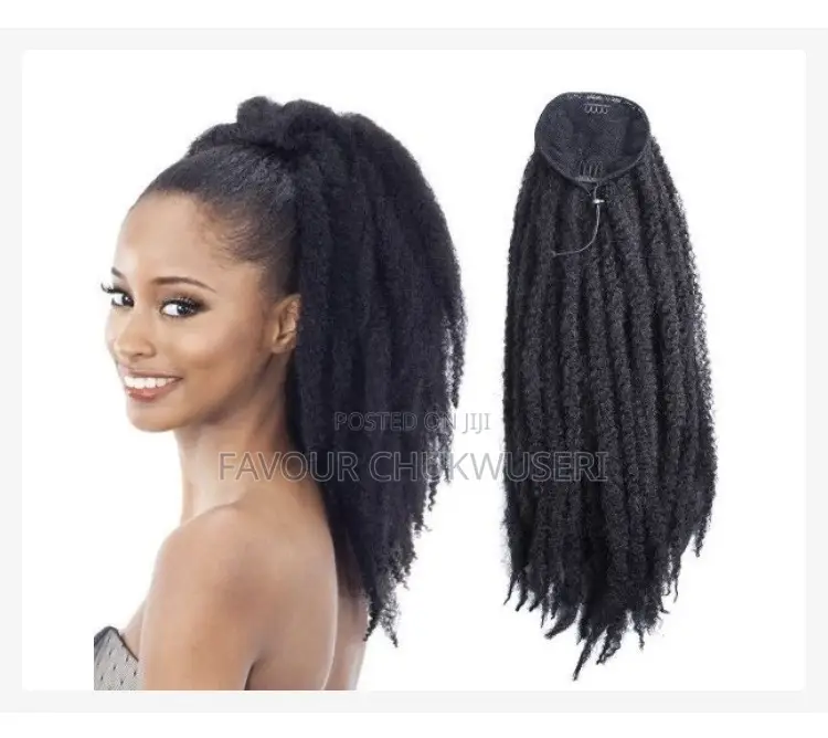 Braided Ponytails