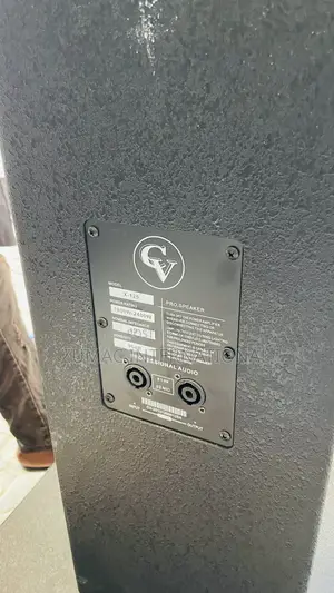 Cv Double Speaker