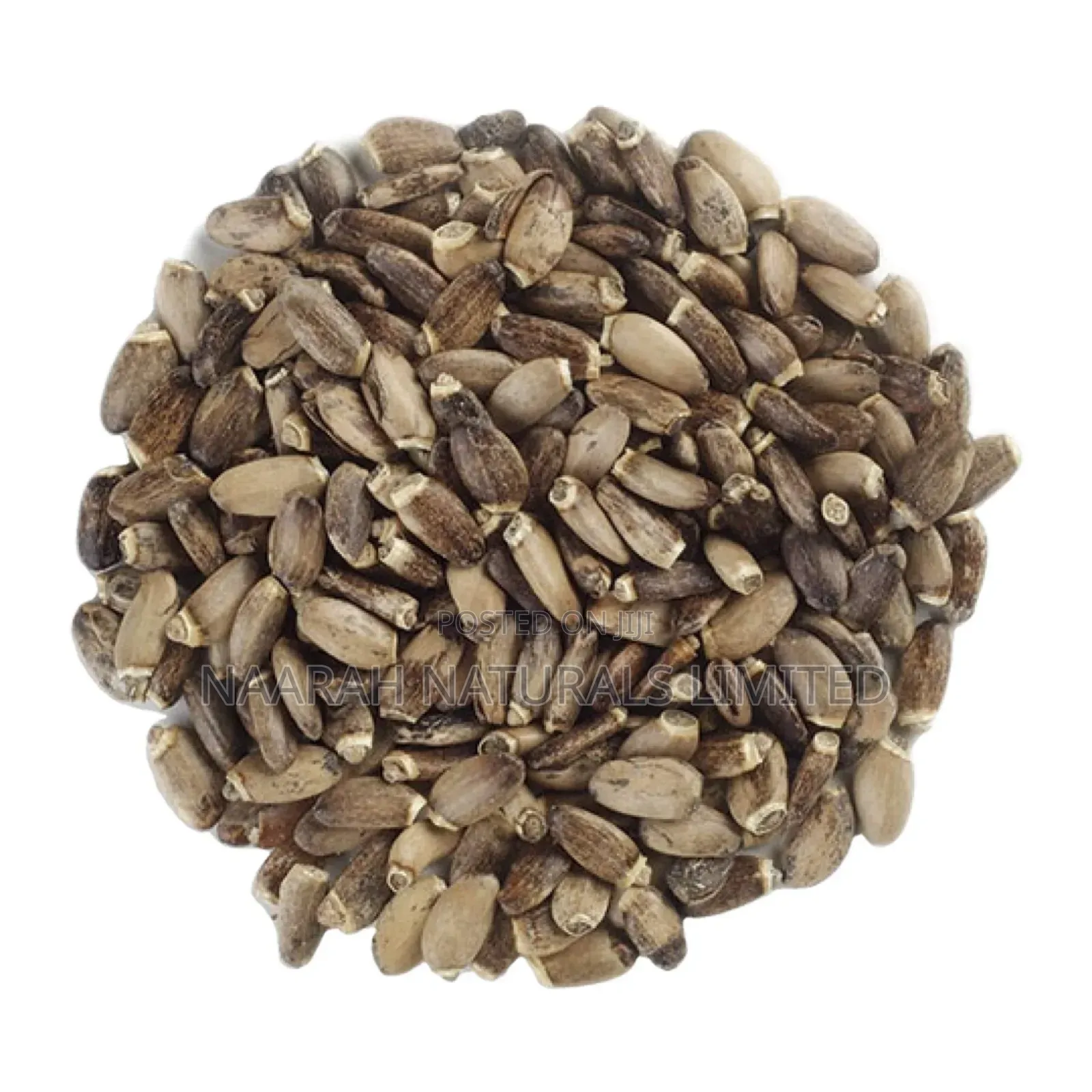 Milk Thistle Seeds 250g
