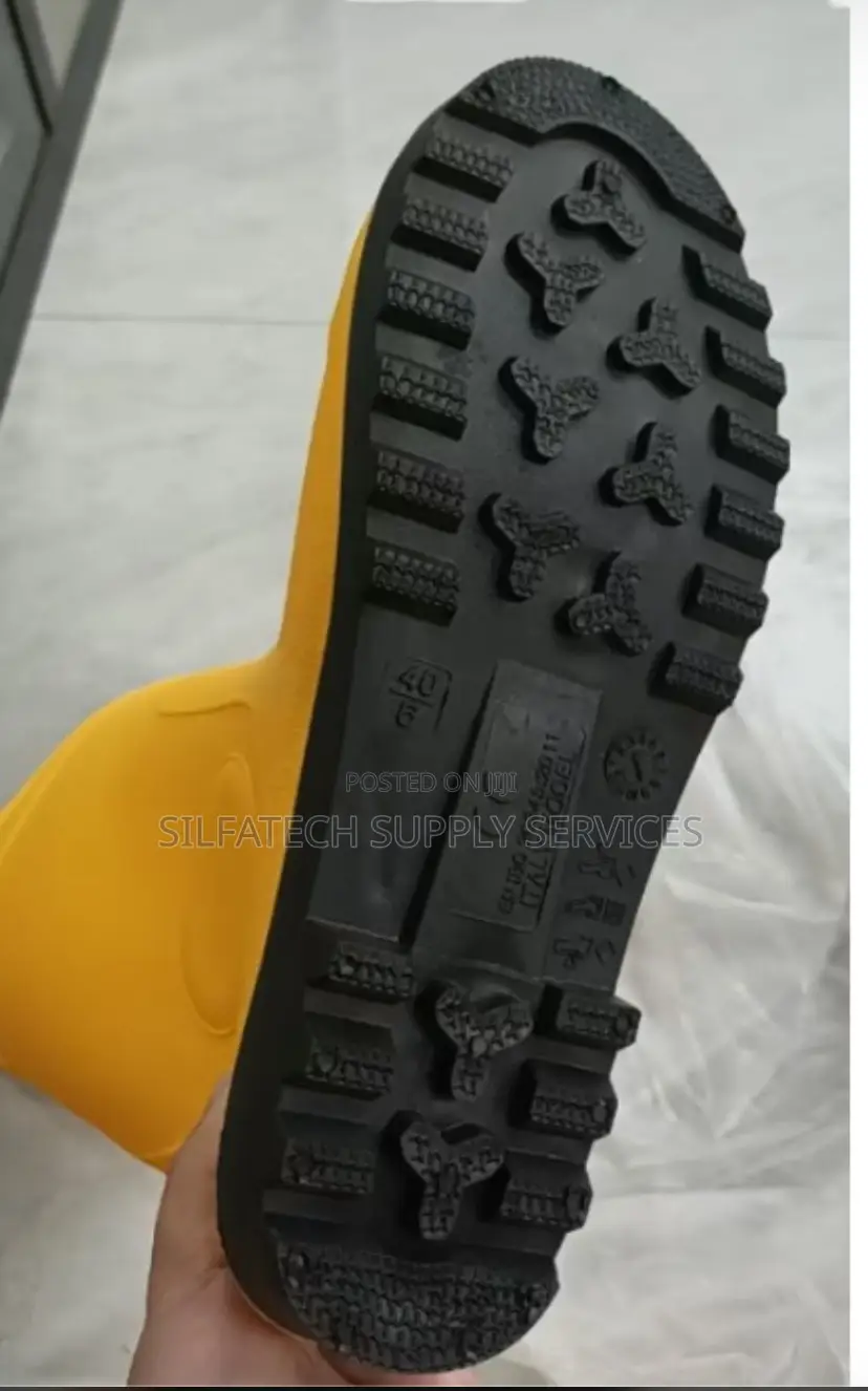 Original Rainboot