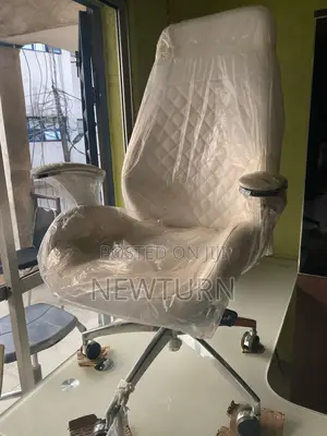 Director Executive Chair.