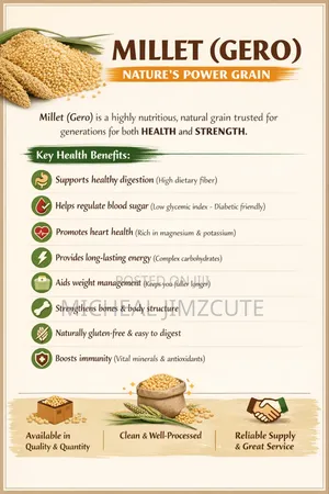 Grains Supply