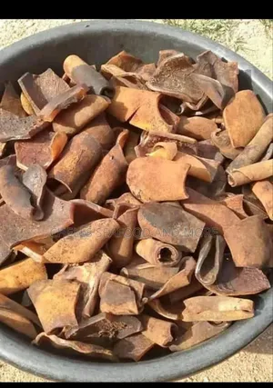 Ijebu Ponmo