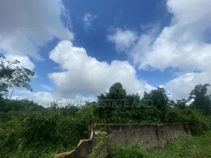 10 Plots of Land for Sale at Aruogba Off Airport Road