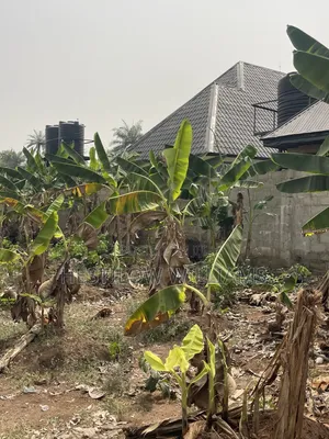 Power of Attorney One Plot of Land,Fully Fenced Federal Light Environm