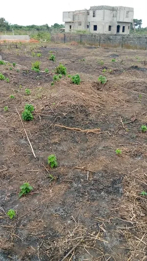 Secure 6 Plots of Dry Land in Lagos Epe – All Papers Intact