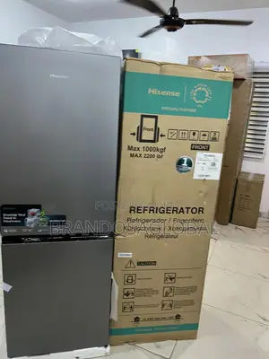 Hisense Bottom Freezer Designed for Organized Kitchen Use [Ref 29dca